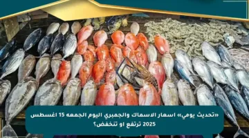 «تحديث يومي» أسعار الأسماك والجمبري اليوم الجمعة 15 أغسطس 2025 ترتفع أو تنخفض؟